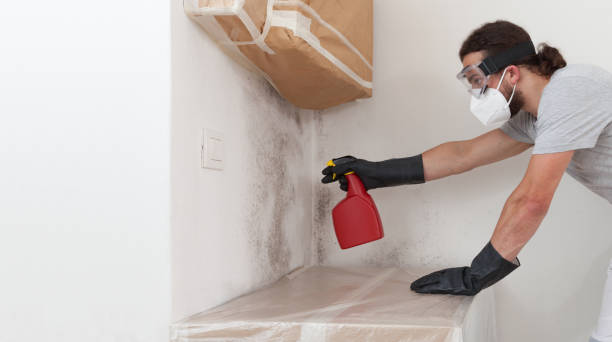 Professional Commercial Mold Remediation technician working in Hayes, VA